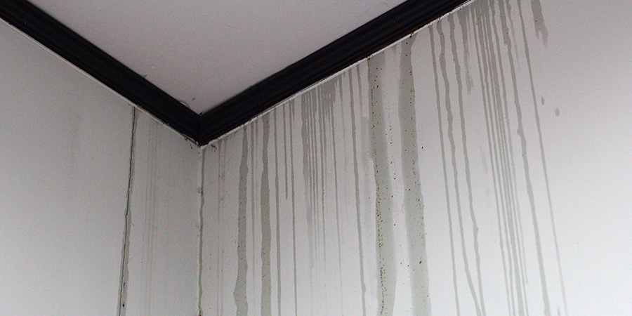 roof-leak-on-walls